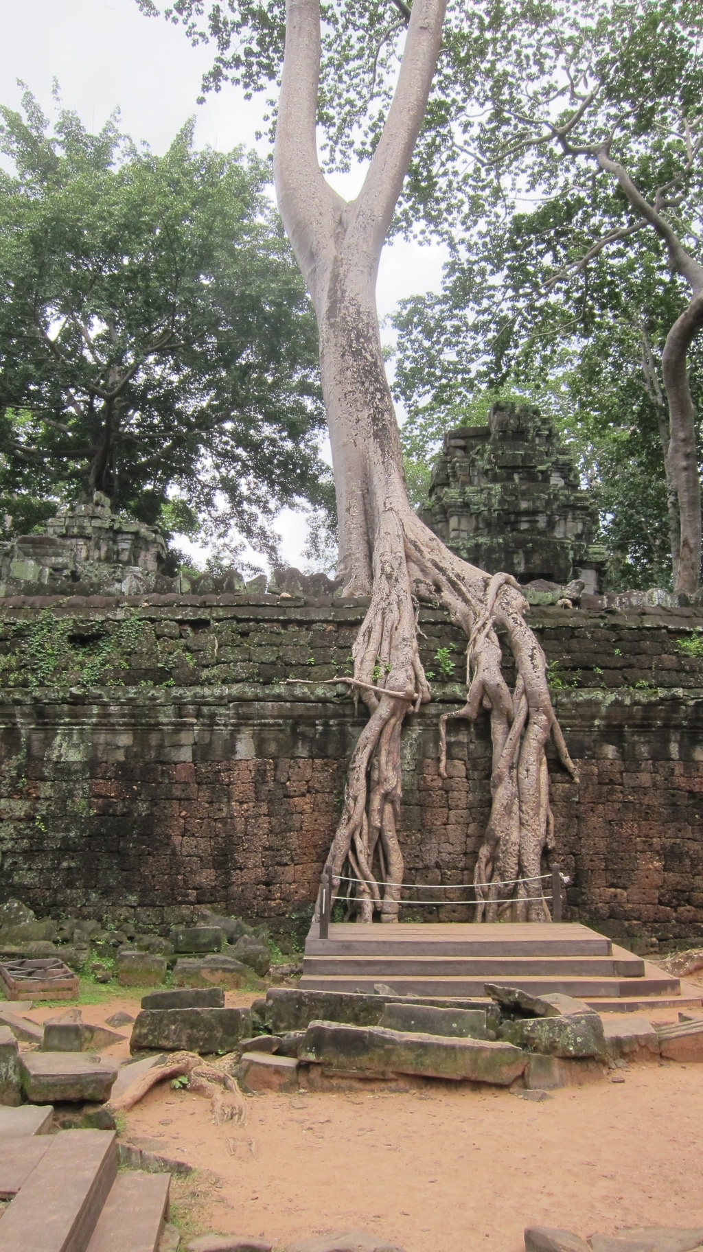 Ta Prohm