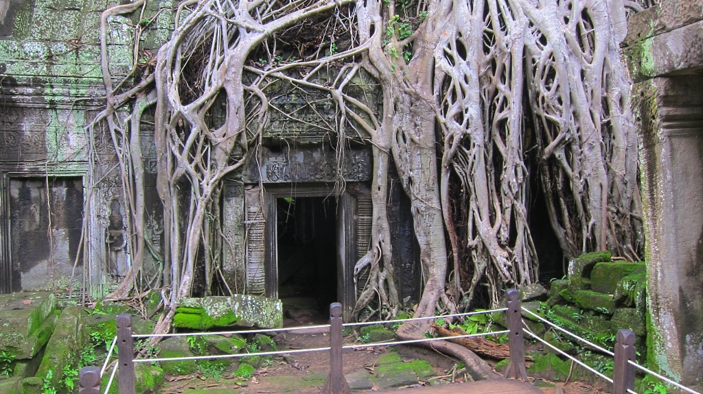 Ta Prohm