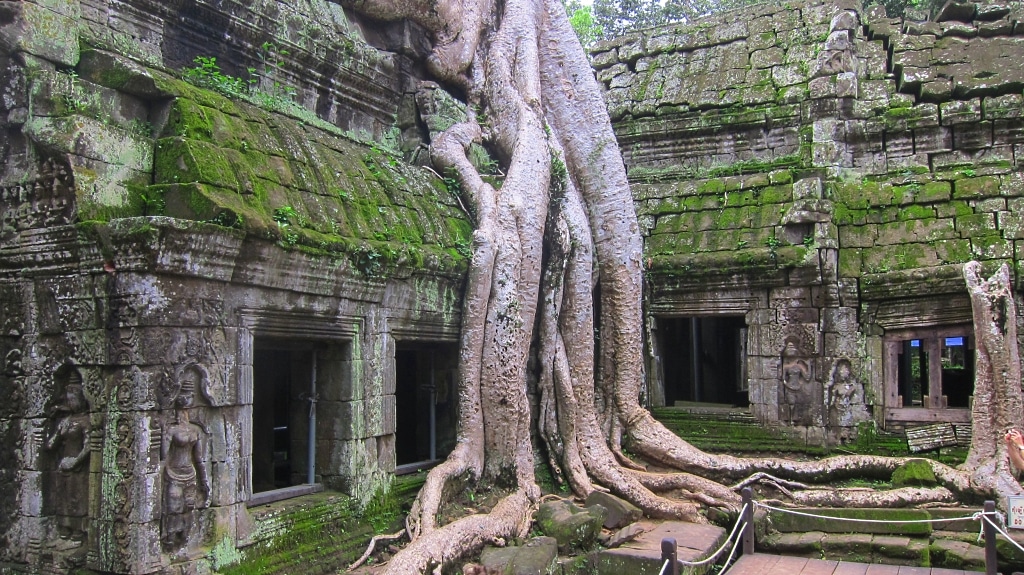 Ta Prohm