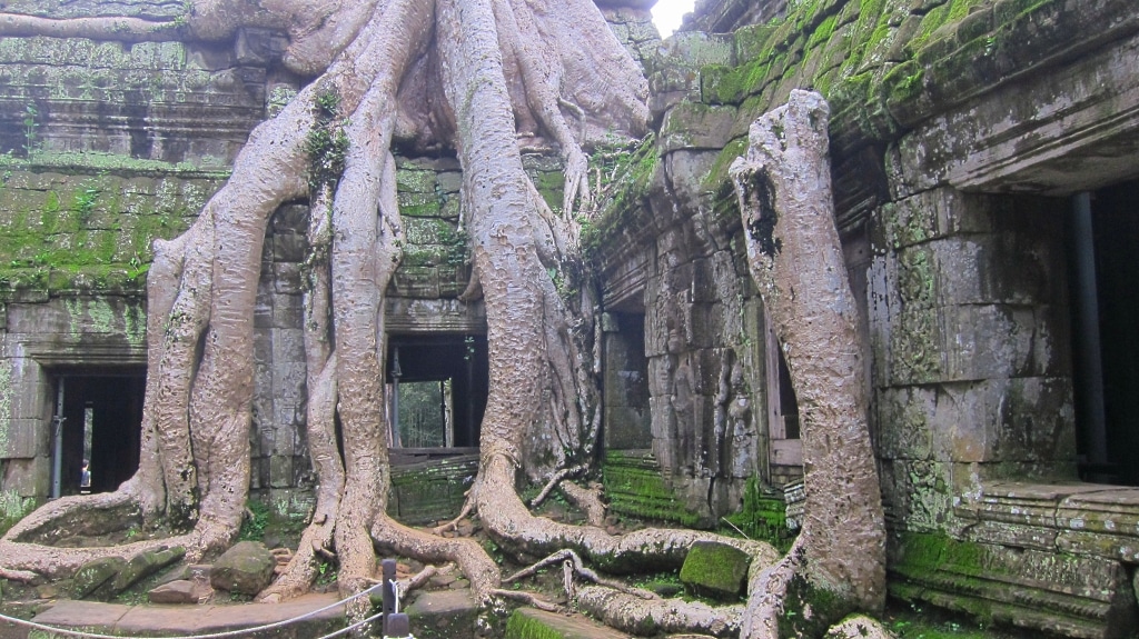 Ta Prohm