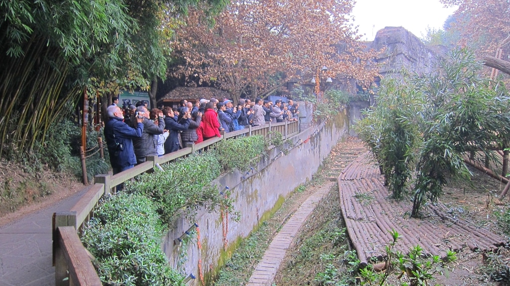 Le parc est assaisoné de groupe de bruyants humains....