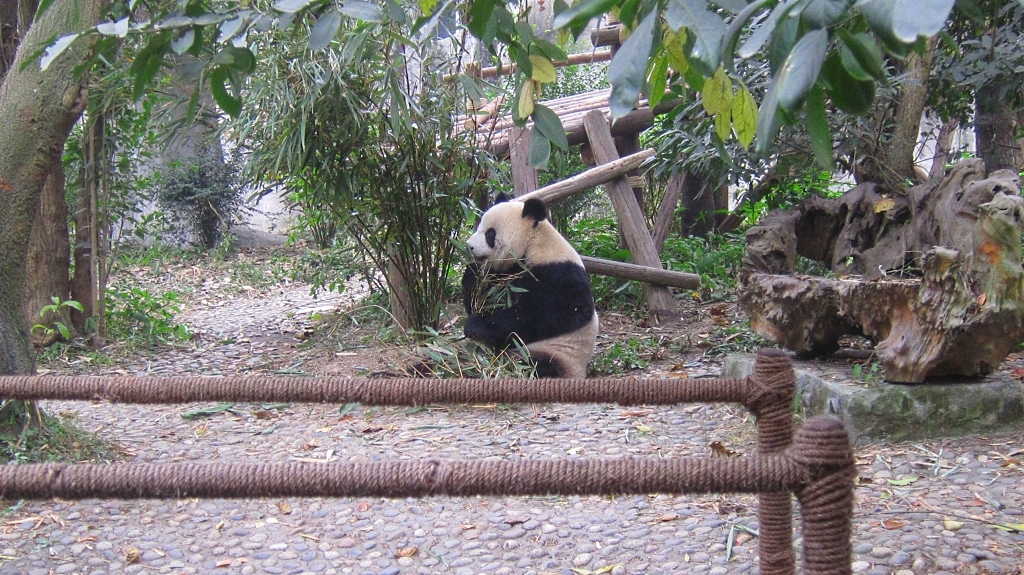 Et ca mange, et ca mange