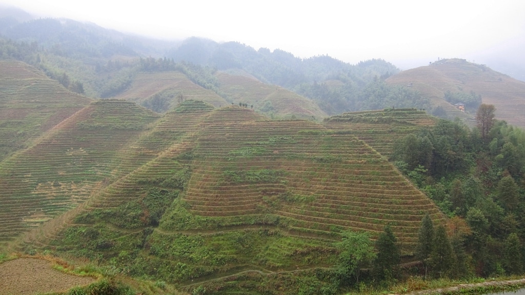 Terraces de riz