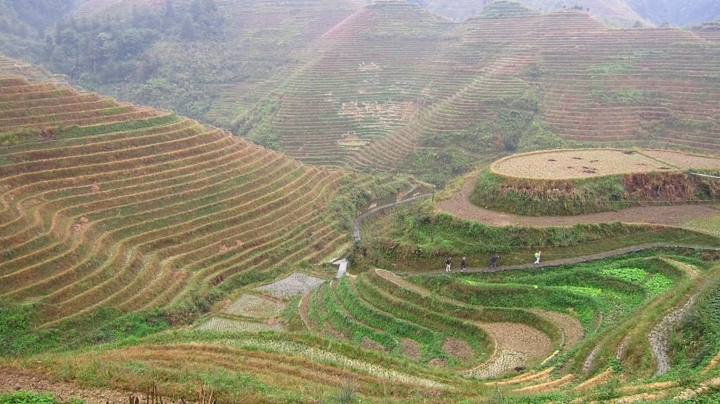 Terraces de riz