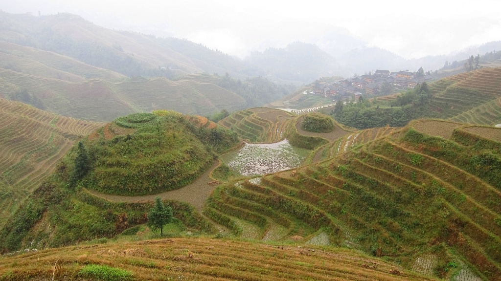 Terraces de riz