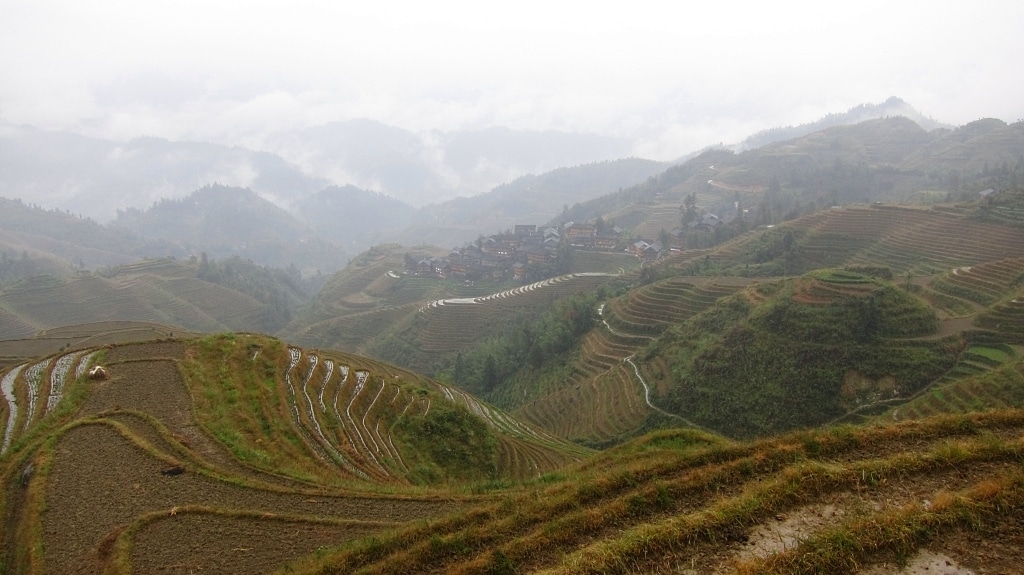 Terraces de riz