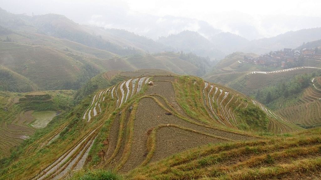 Terraces de riz