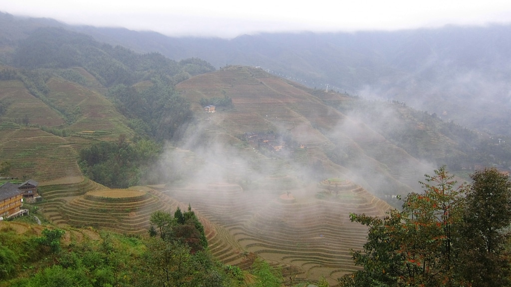 Terraces de riz