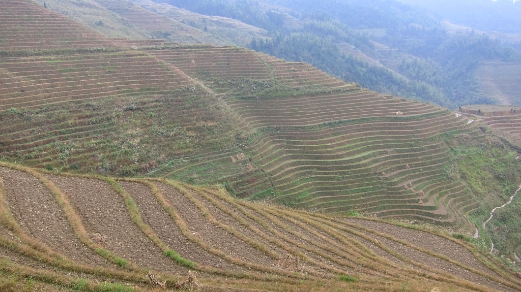 Terraces de riz