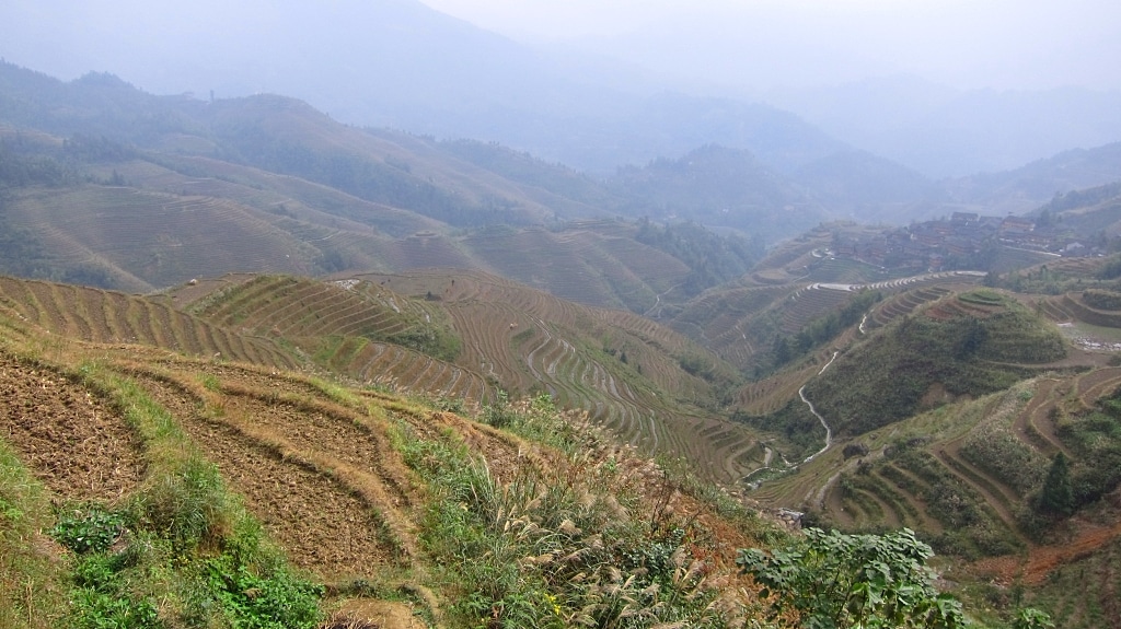 Terraces de riz