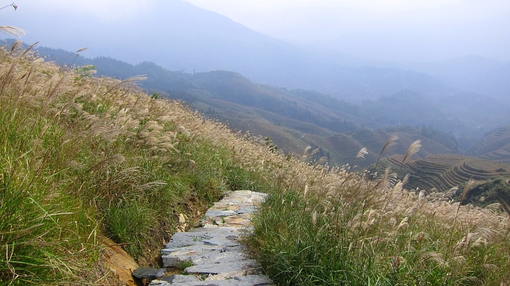 Chemin de pierres