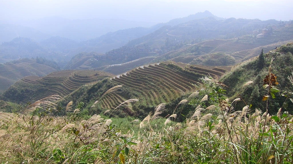 Terraces de riz