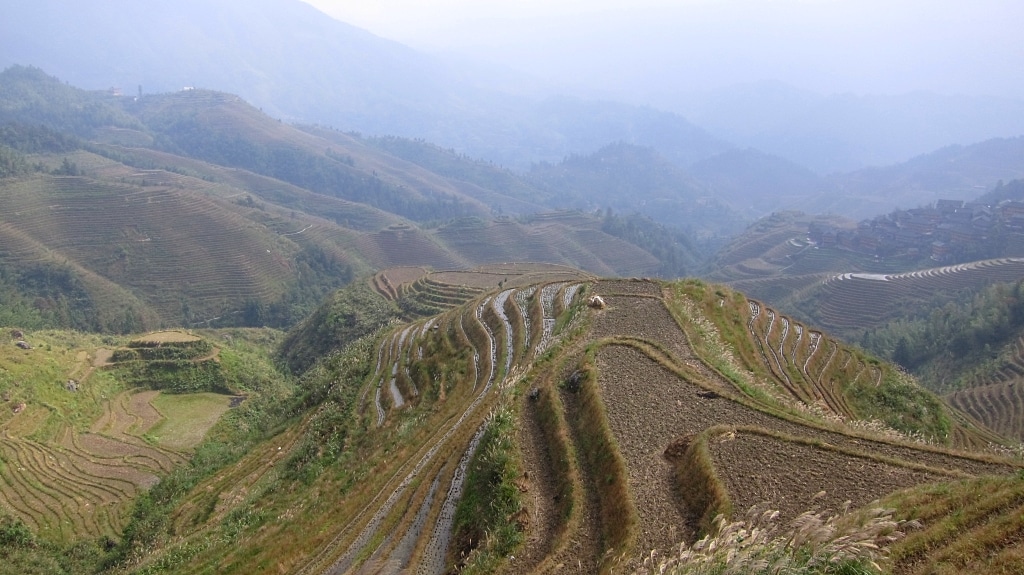 Terraces de riz