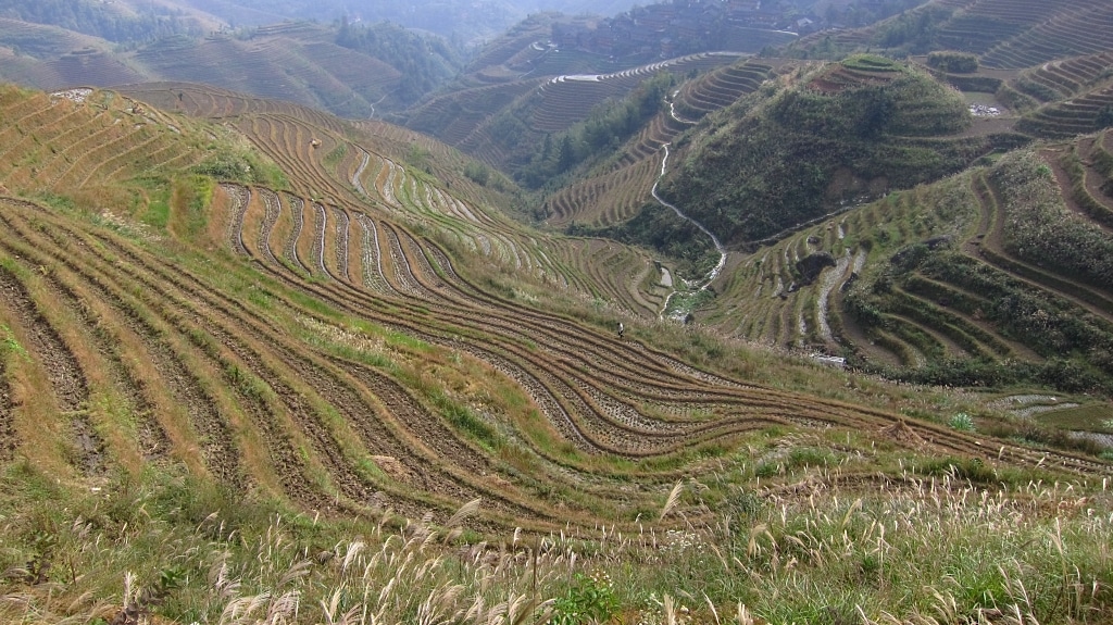 Terraces de riz