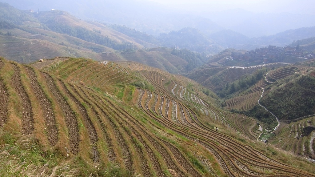 Terraces de riz