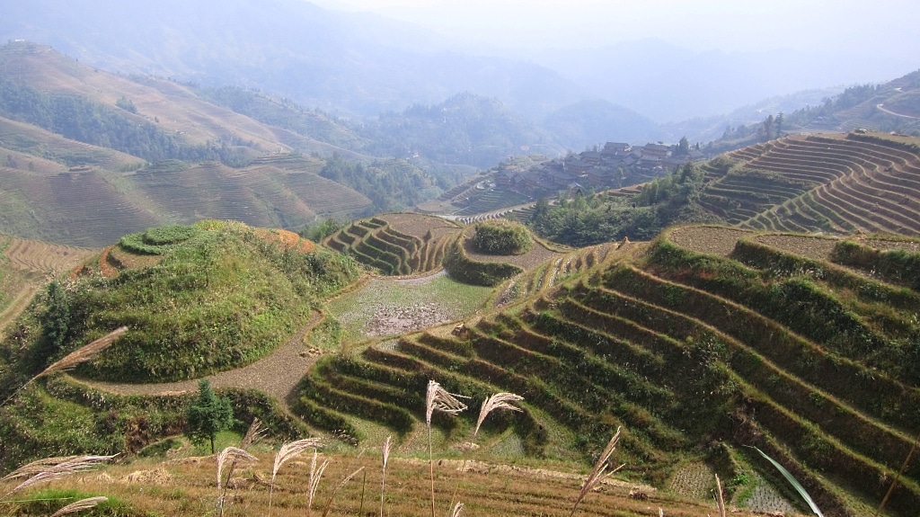 Terraces de riz