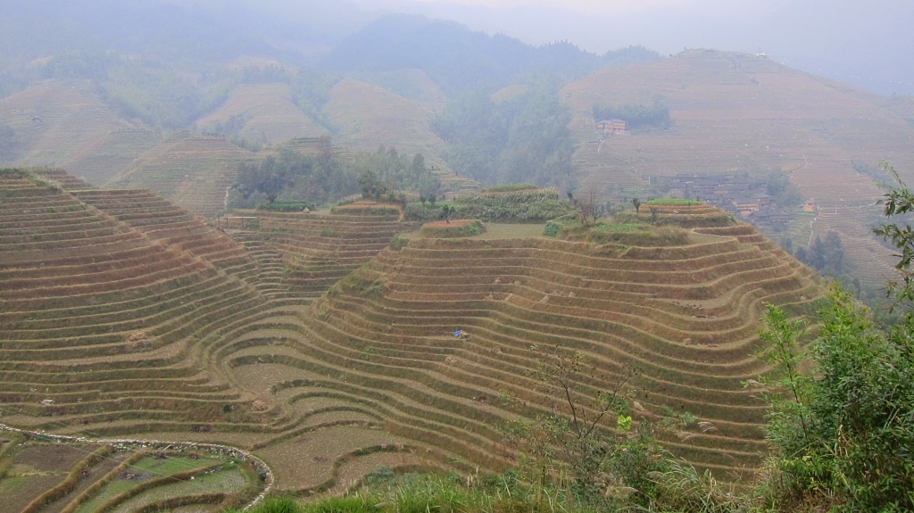 Terraces de riz