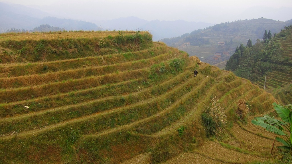 Terraces de riz