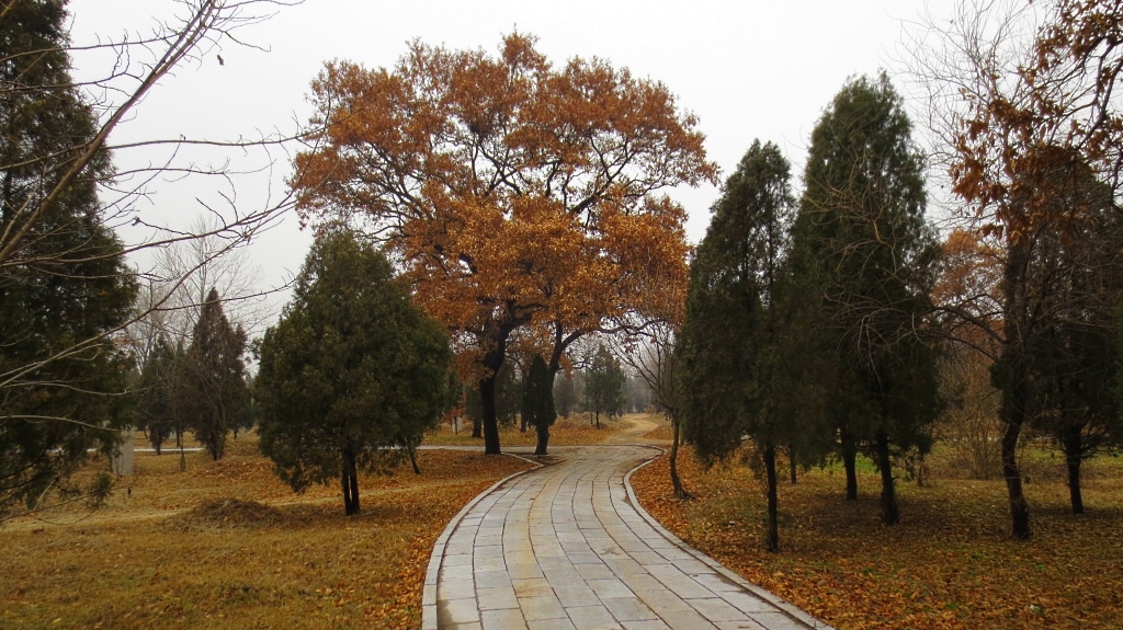 Le cimetière de Confucius.