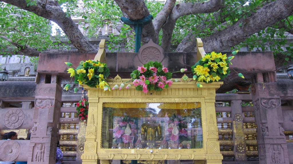 Le devant de l'arbre Bodhi