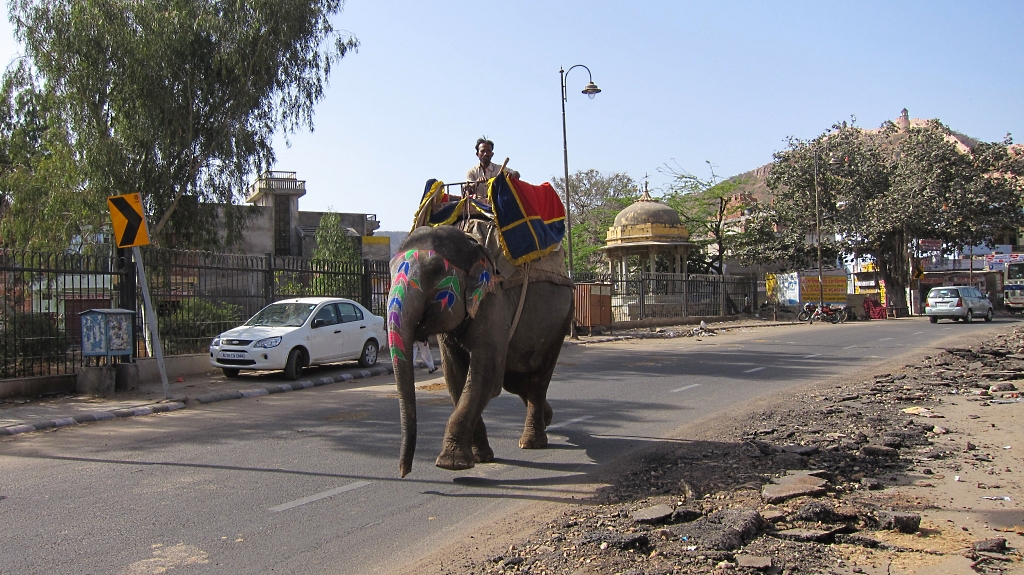 Tiens? Un éléphant dans la rue!