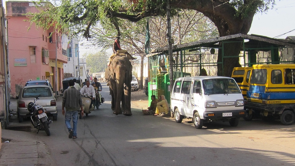 Le premier éléphant que je croise à l'improviste dans la rue.