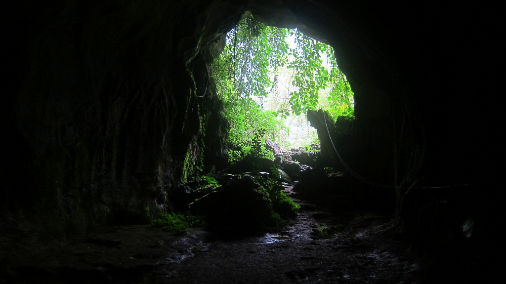 Intérieur de la cave.