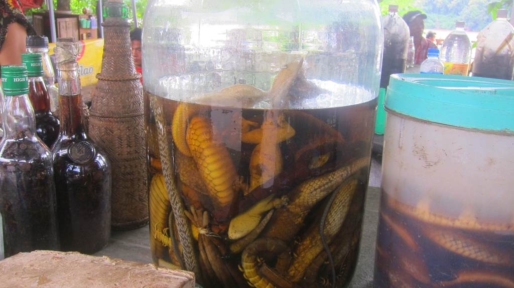 Luang Prabang - Alcohol de serpents