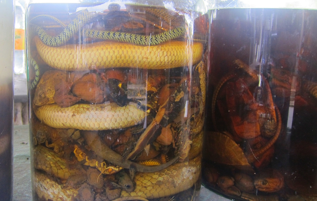 Luang Prabang - Alcohol de serpents et scorpions