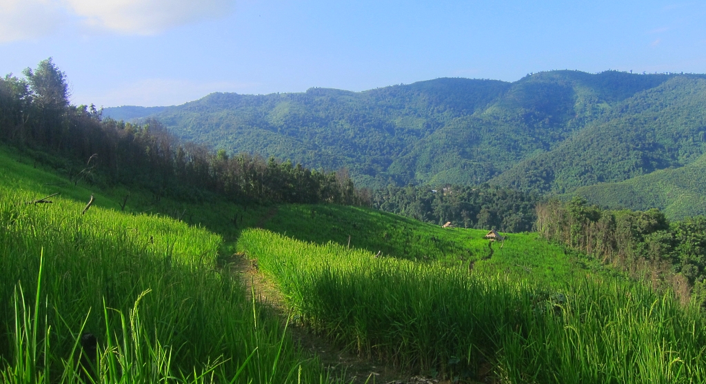 Autour de Muang Ngoi