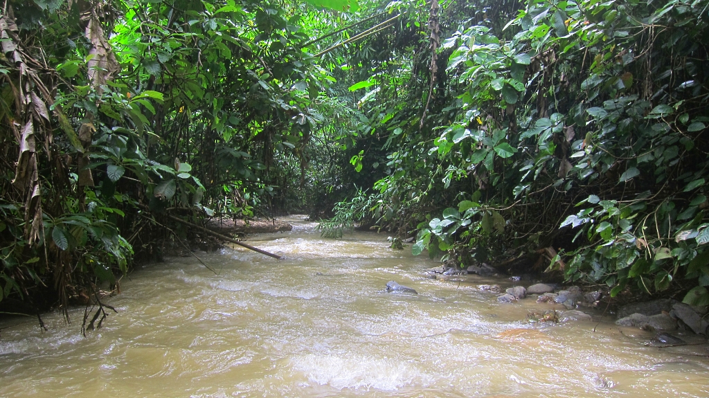 Autour de Muang Ngoi