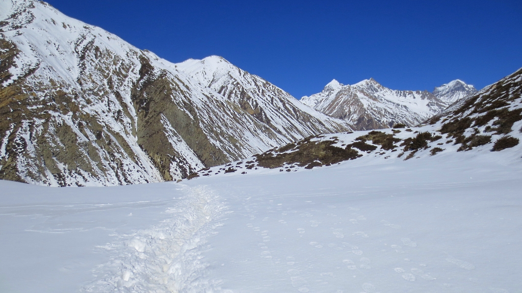 Trek de Manang à Letdar