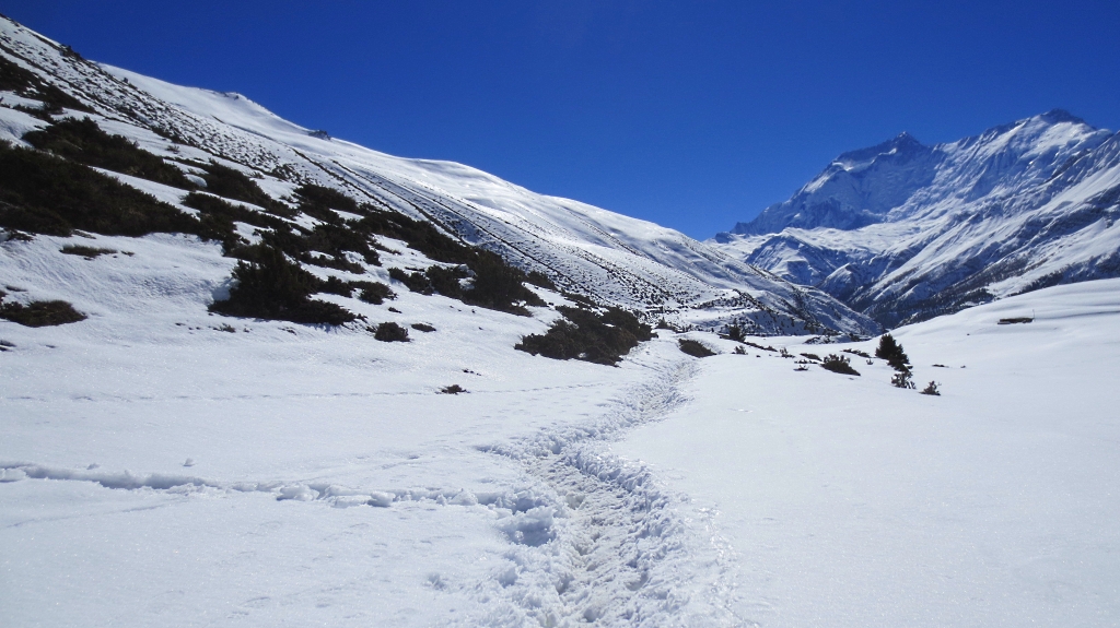 Trek de Manang à Letdar