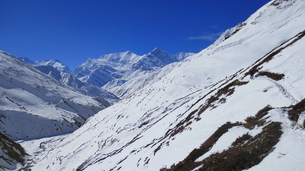 Trek de Letdar à Thorung Phedi