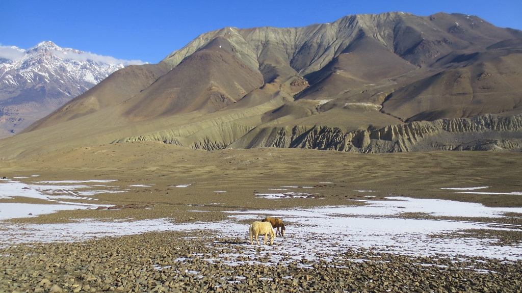 Trek de Muktinath à Jomsom