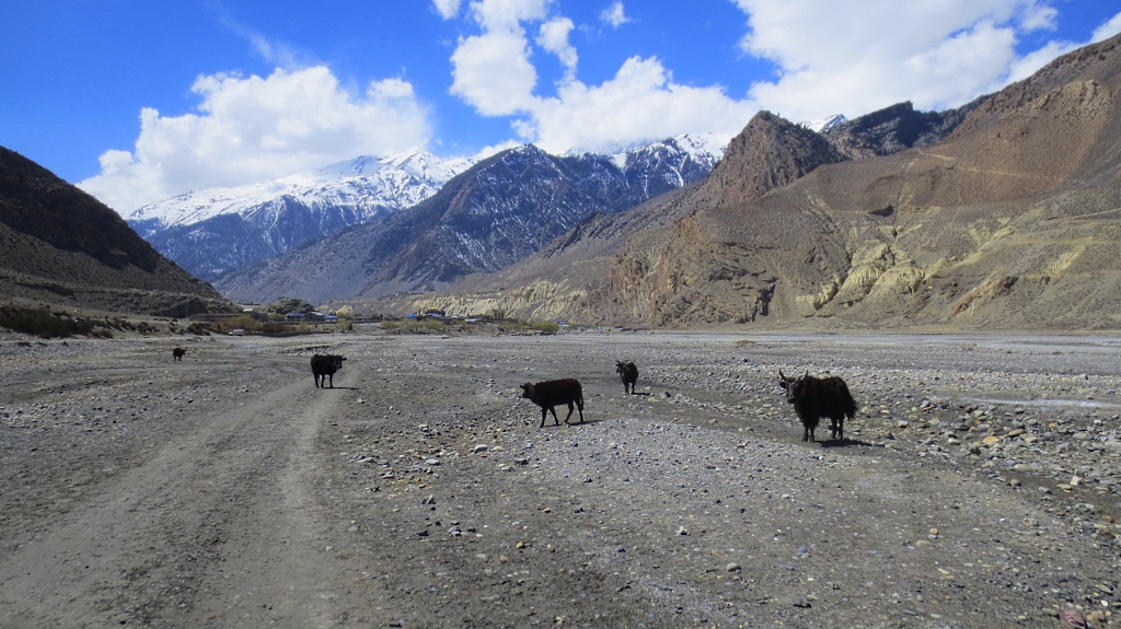 Trek de Muktinath à Jomsom